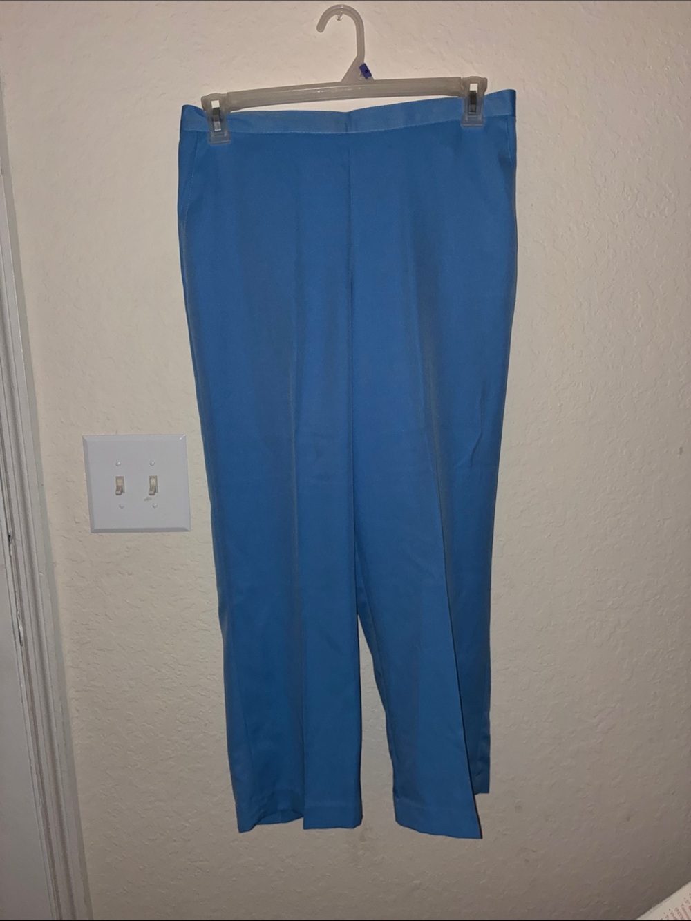 Alfred Dunner Light Blue Women Dress Pants